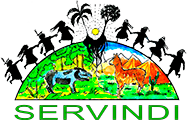 SERVINDI